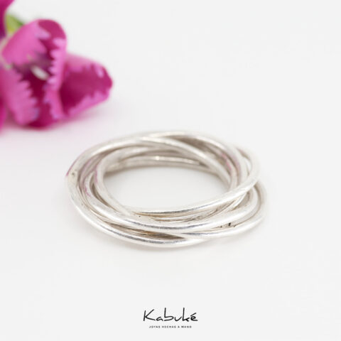 Anillo nest